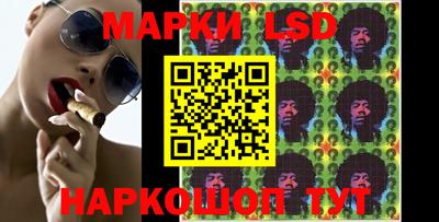Альфа ПВП Гатчина