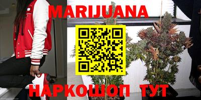 Альфа ПВП Гатчина