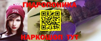 Альфа ПВП Гатчина