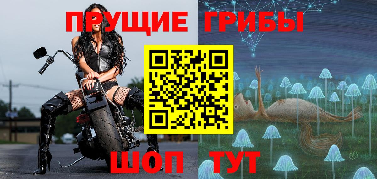 магазин продажи наркотиков  Вход с VPN  Гай  Псилоцибиновые грибы мицелий 