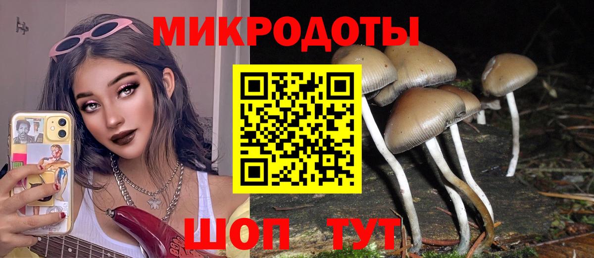 Псилоцибиновые грибы Magic Shrooms Гай