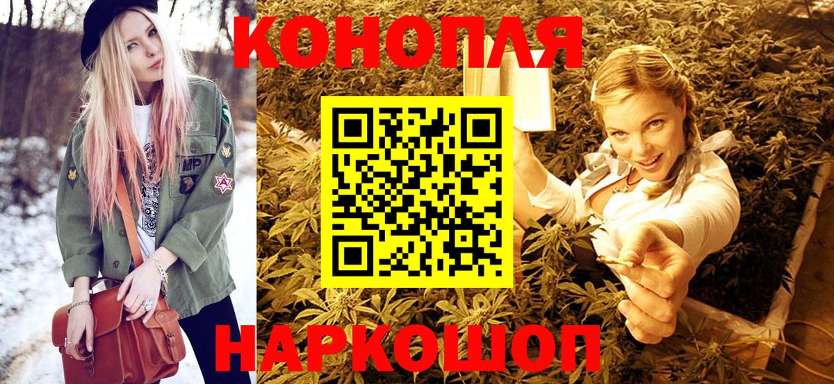 Бошки Шишки семена Гай